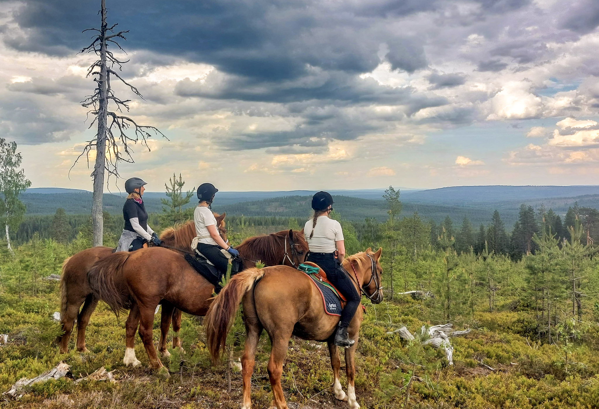 Lappish Summer adventure with horses – 7 days in Lapland - Ranch